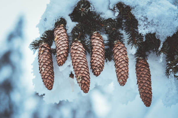 美丽的一天图片下载
