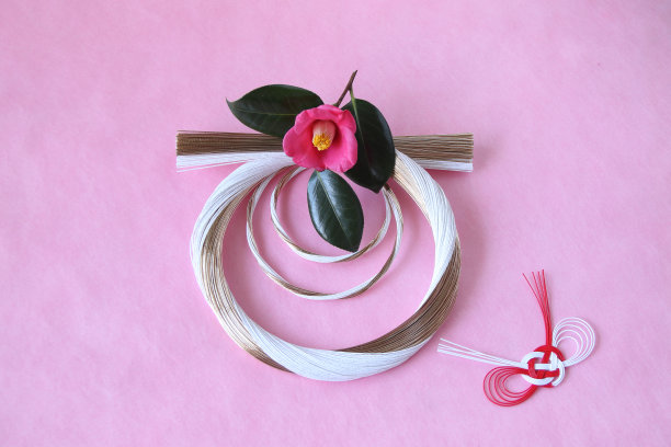 日本新年形象(山茶花和瑞彦)图片下载