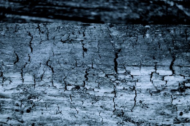 变形老柴图片下载