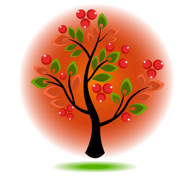 树生长浆果和树叶图片下载