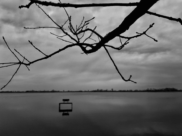 黑白风景图片下载