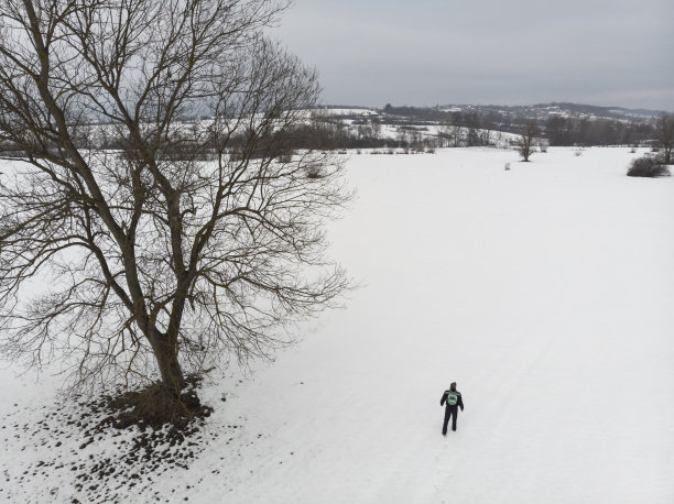 成年男子徒步行走在白雪覆盖的田野上，旁边是一棵巨大的光秃秃的树。鸟瞰图。图片下载