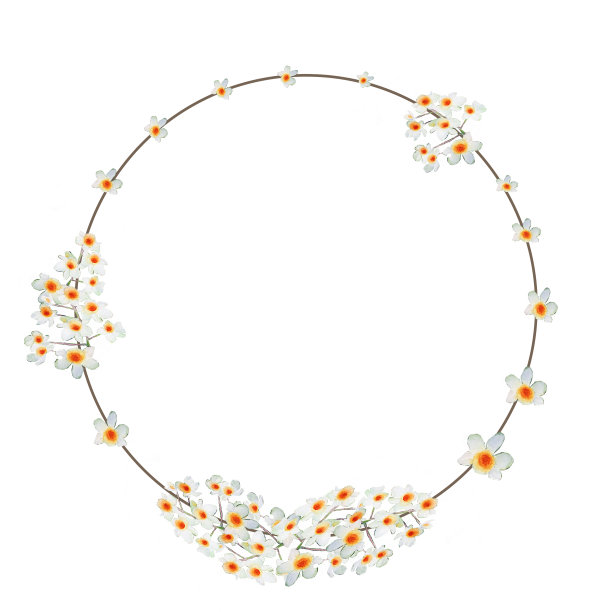 叶子，婚礼水彩花环，花束，框架花，花卉安排装饰，手绘，孤立在白色背景图片下载