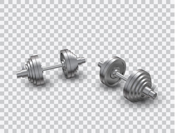 美丽逼真的透视视图适合向量的两个钢可负载哑铃在透明的背景。图片下载