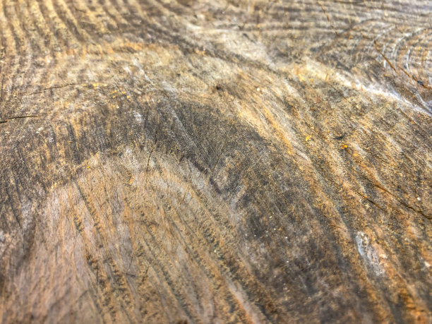 照片背景木雕，棕色树，年轮图片下载