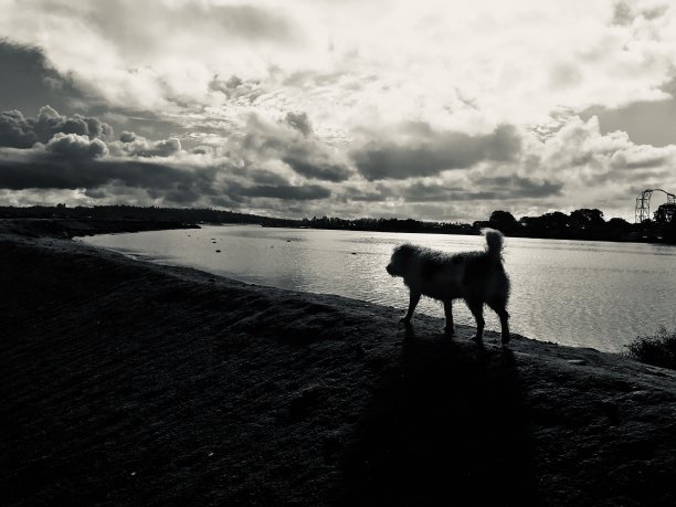 享受他的自由图片下载