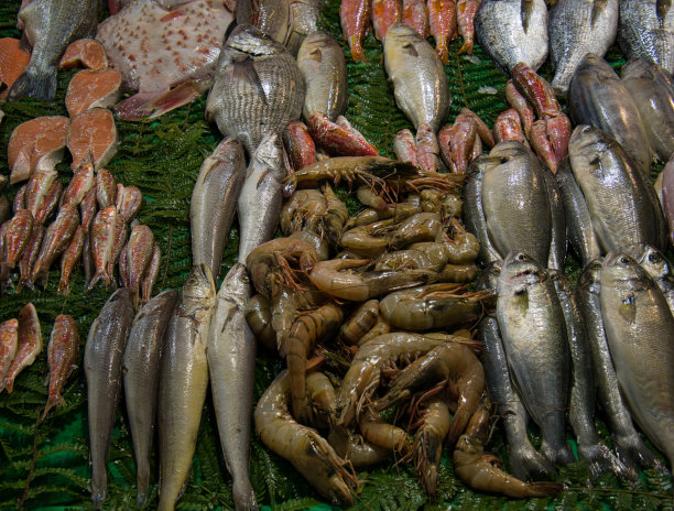 在伊斯坦布尔的市场上卖鱼图片下载