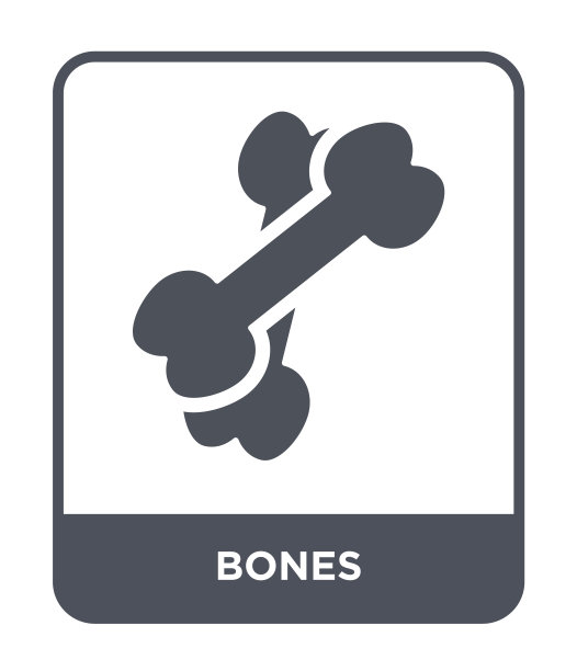 骨头图标矢量白色背景，骨头时尚填充图标从历史收藏图片下载