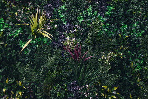 纹理墙饰以花和绿枝，装饰背景图片下载