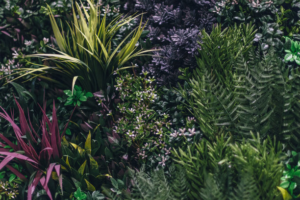 纹理墙饰以花和绿枝，装饰背景图片下载