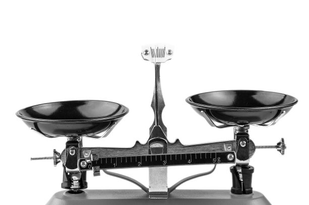 灰色的实验室鳞片在白色之上图片下载