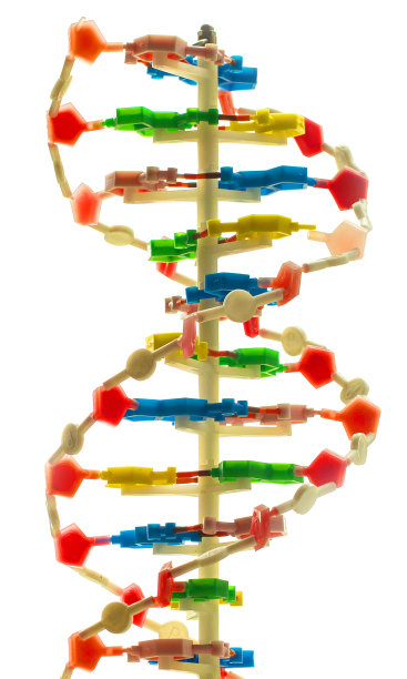 分子结构孤立在白色背景上。特写镜头图片下载