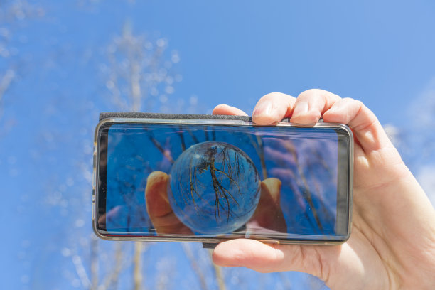 在水晶球里，一棵树对着蓝天图片下载