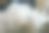 液态氮烹饪大师班图片下载