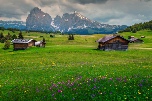 塞西尔阿尔姆旅游胜地，春花缤纷，意大利，欧洲图片下载