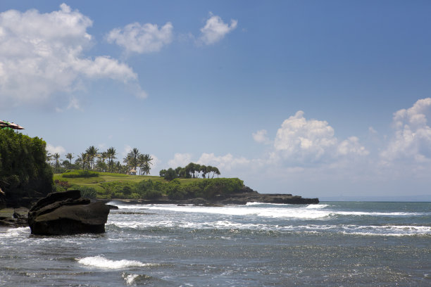 印尼巴厘岛。海边有热带植物的海滩图片下载