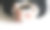 特写的女人的手在黑色针织毛衣拿着一杯咖啡。空白的马克杯模型场景。冬天的设计。女性风格的库存照片。图片下载