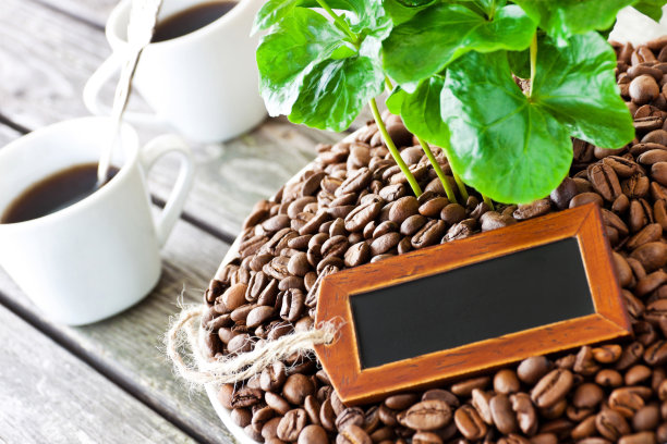 咖啡和带标签的咖啡树图片下载