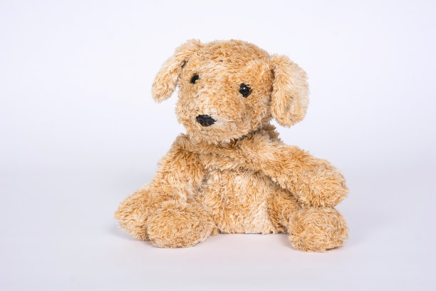 软玩具狗是孤立的白色背景图片下载