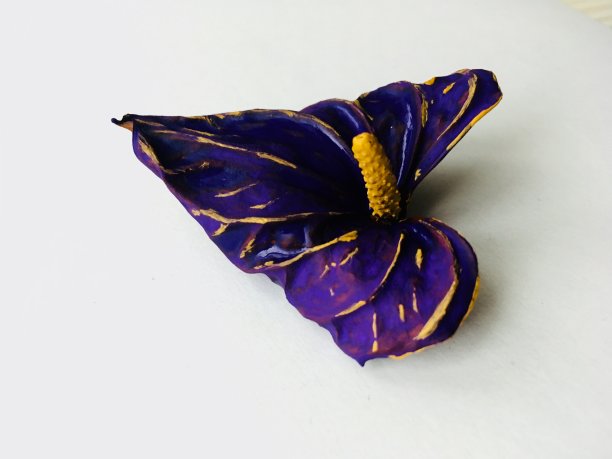 紫色的花，艺术，油漆，白色的背景，颜色图片下载