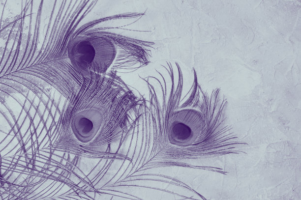 多彩而艺术的孔雀羽毛。发光的孔雀羽毛排列的微距照片。图片下载