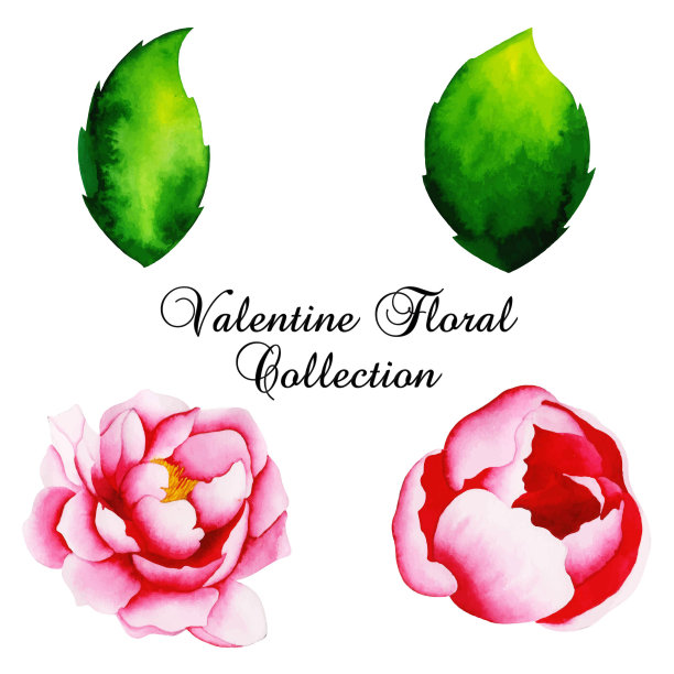 水彩情人节花束图片下载