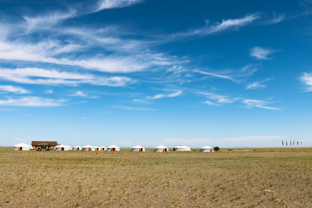 Bajandsag(燃烧的悬崖，戈壁沙漠，蒙古，亚洲)附近一个旅游营地里的传统蒙古房屋/蒙古包俯瞰戈壁沙漠图片下载