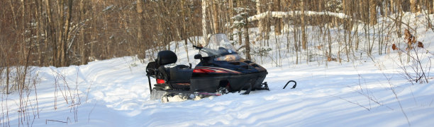 雪橇在森林图片下载