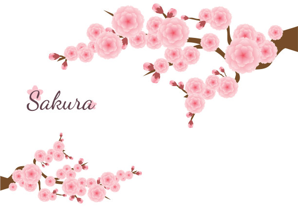 樱花为背景。樱花粉红色的花朵背景。图片下载