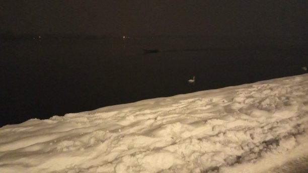 塞尔维亚贝尔格莱德，夜幕下的海滨图片下载