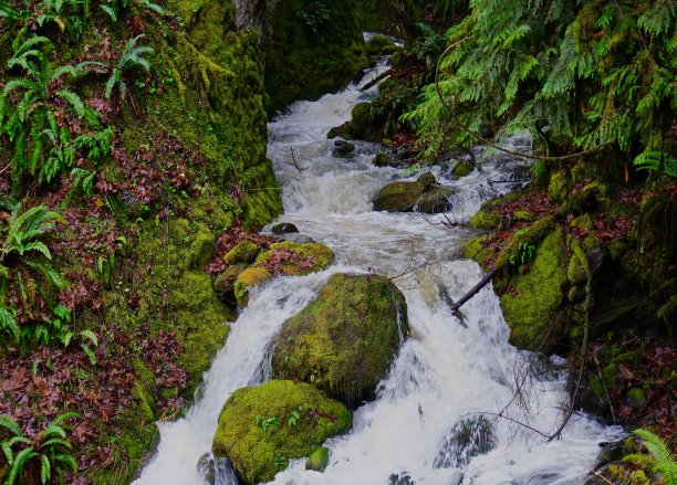 俄勒冈州的石头河图片下载