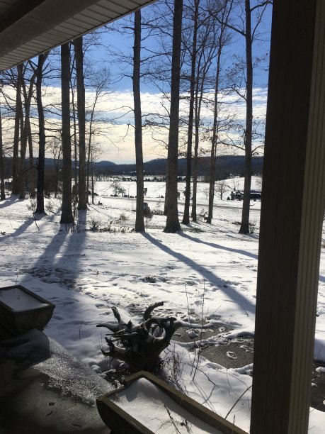 第一场雪图片下载