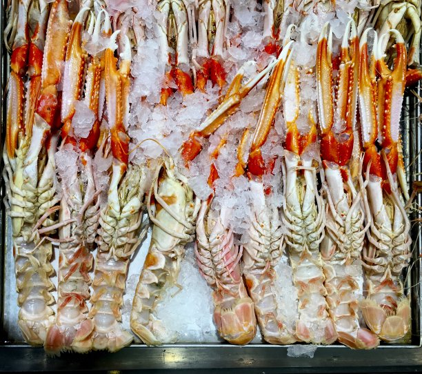 当地海鲜市场的大虾图片下载