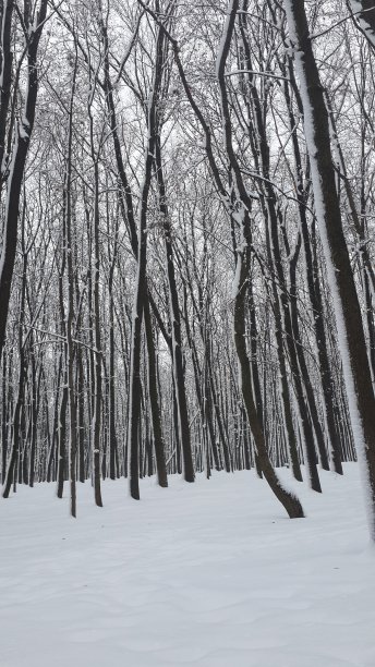 一座雪城堡图片下载