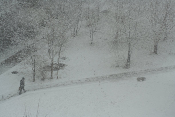 城市庭院在下雪期间。从上面的观点图片下载