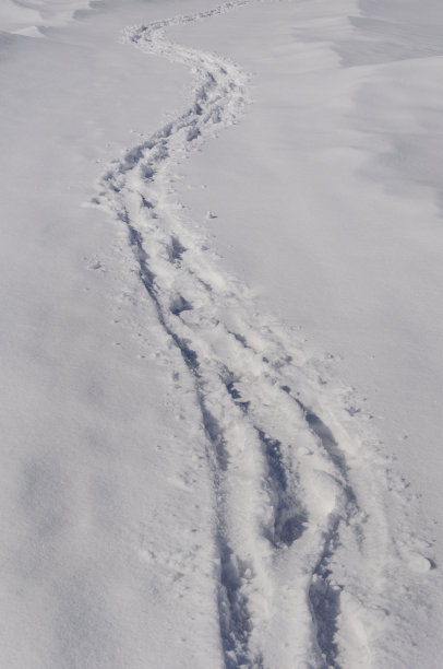 脚印在雪地图片下载