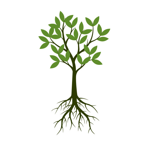 绿色的树有叶子和根。矢量插图。植物和花园。图片下载