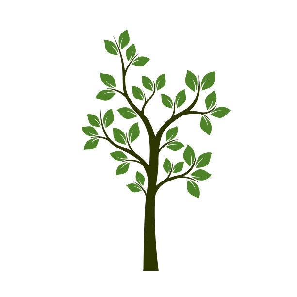 绿色的树和叶子。矢量插图。植物和花园。图片下载