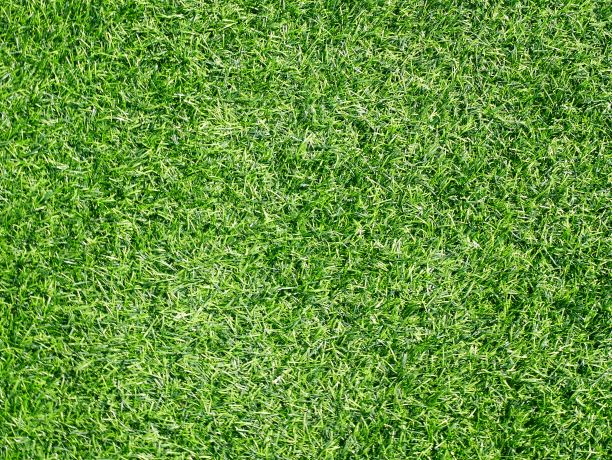 足球场图片下载