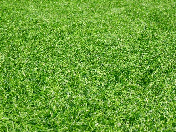 足球场图片下载