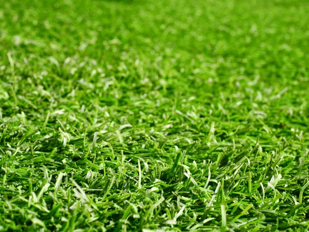 足球场图片下载