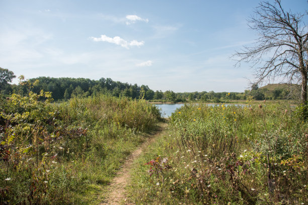 穿过草丛的小径图片下载