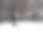 秋树与雪图片下载