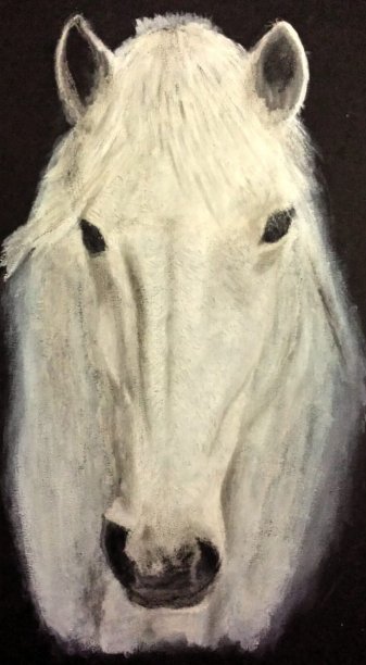 粉彩铅笔画 - 一匹白马图片下载