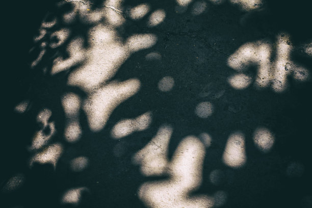 树叶的影子背景图片下载