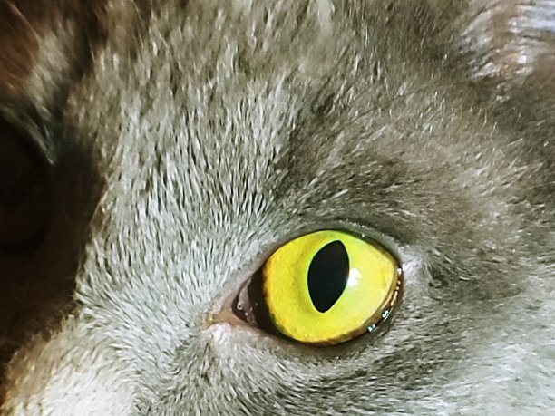 汽车的眼睛图片下载