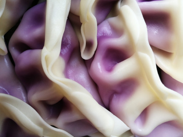 饺子有黑醋栗或蓝莓馅。波兰传统菜肴。平放特写照片的主题，食物，烹饪或节食。图片下载