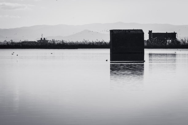 亭子映在稻田的水里。西班牙巴伦西亚Albufera自然公园的泻湖。黑白图像。完美的自然背景图片下载