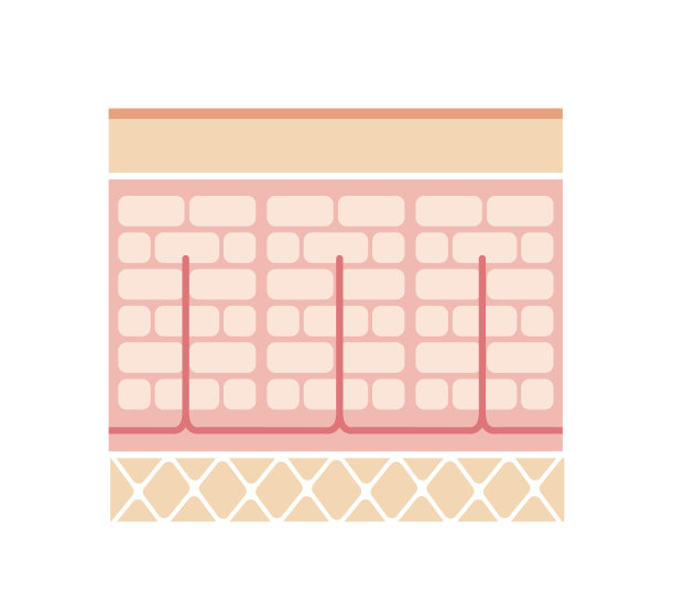 普通皮肤图(无文字)图片下载