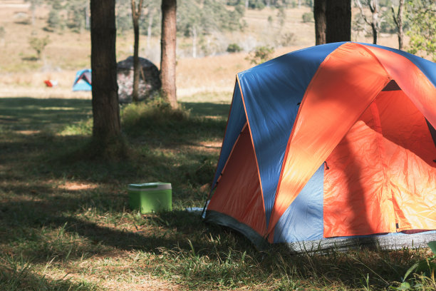 在松林下露营和帐篷图片下载